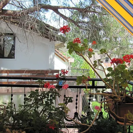 Apartment Sokol